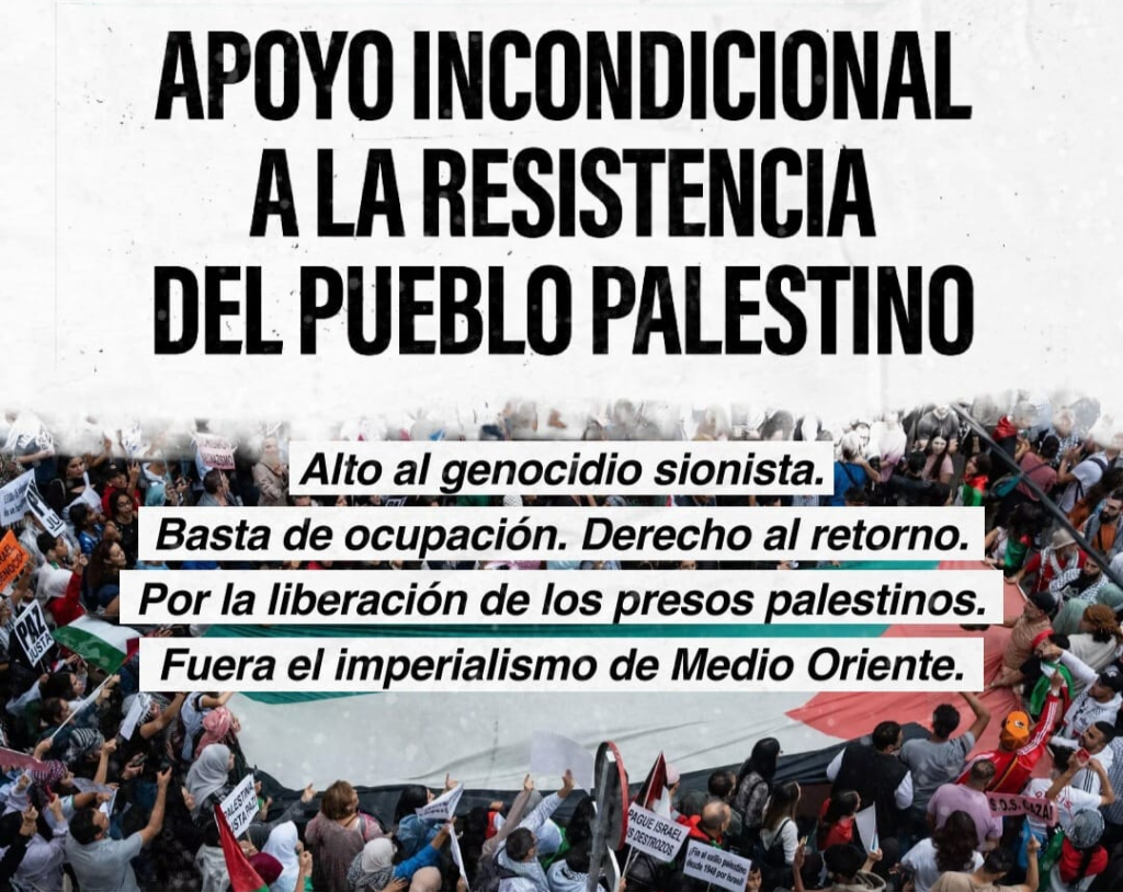 Organizaciones sociales se manifestaron en Mar del Plata en apoyo al pueblo palestino