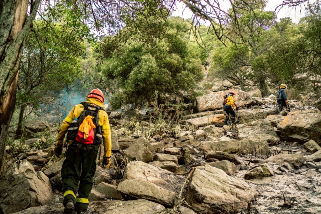 Se vienen tres días con alto riesgo de propagación de incendios forestales
