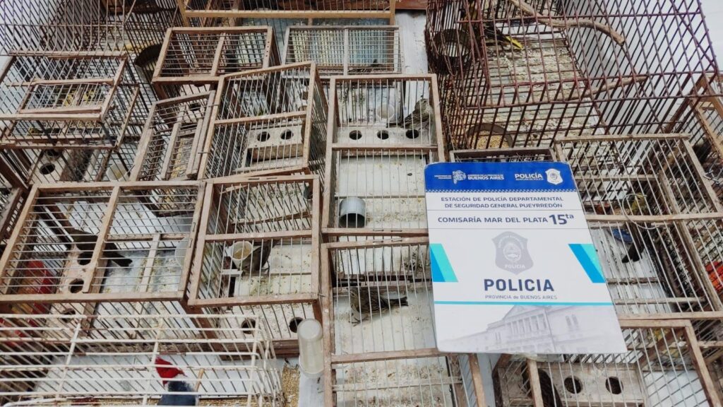 De película: Un disparo a un perro, una denuncia y el hallazgo de 50 aves en cautiverio