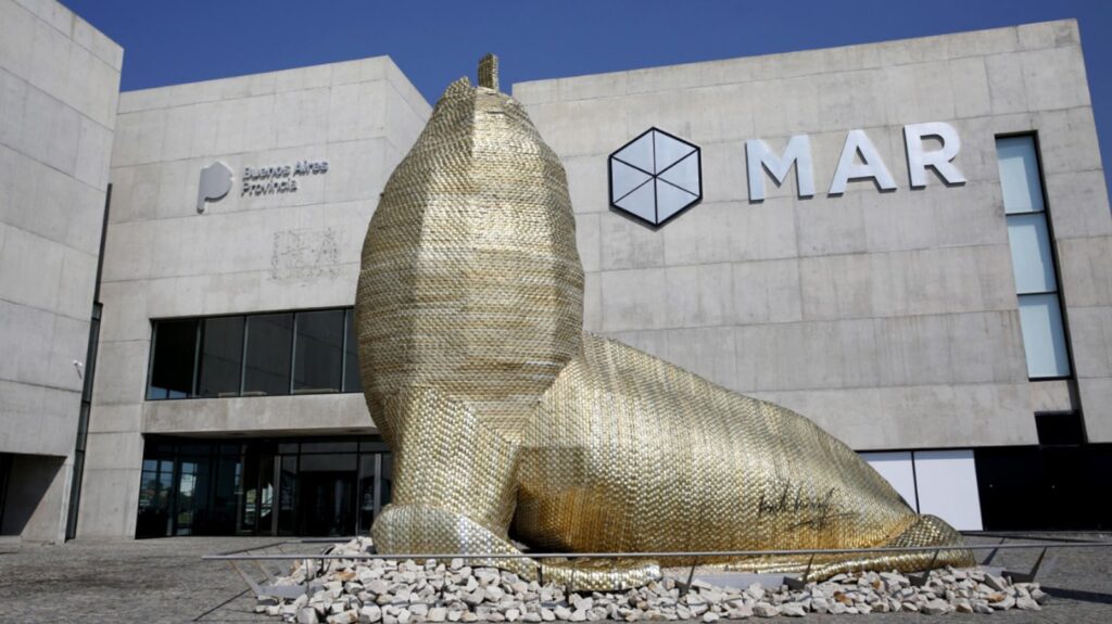 Museo Mar cumple 10 años y lo celebra con una variada programación cultural de verano