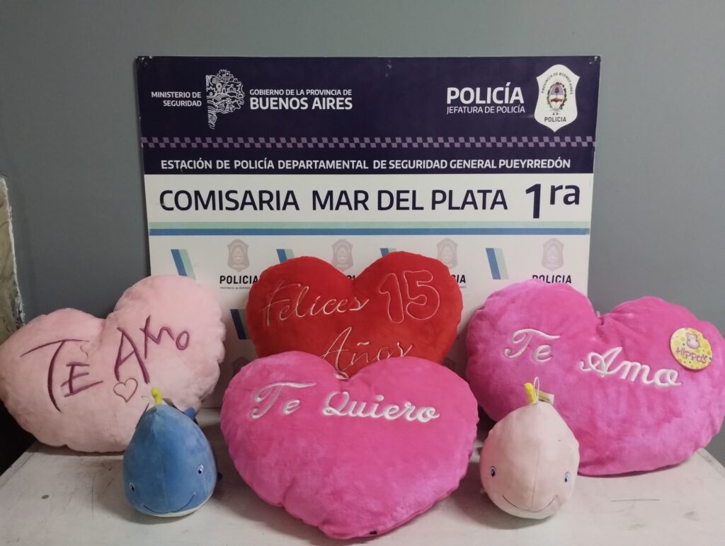 Un joven robó peluches de un local céntrico y quedó aprehendido