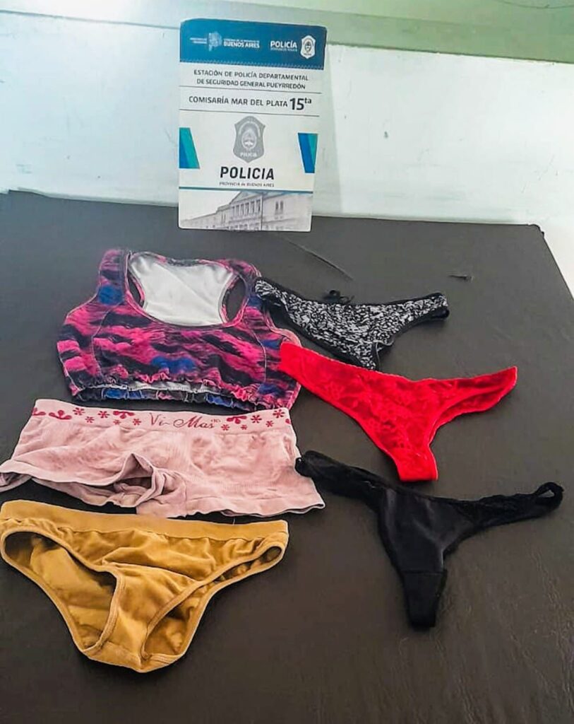 Ingresó a una casa, robó unas bombachas y terminó aprehendido