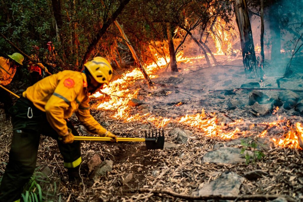 Desde el Municipio alertaron por el riesgo de incendios forestales