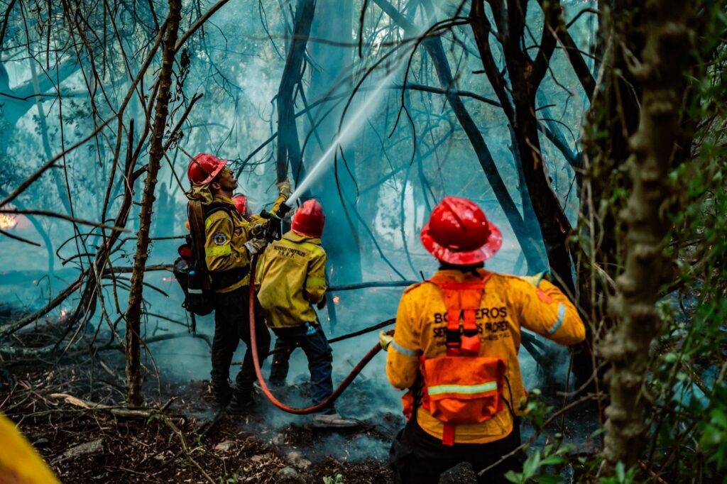 Se esperan probabilidades extremas de generación de incendios forestales