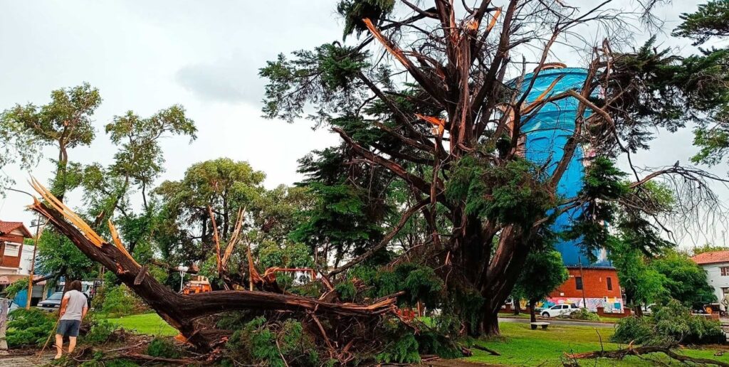 Kicillof viajó a Miramar para brindar asistencia y dijo que temporal es por el cambio climático