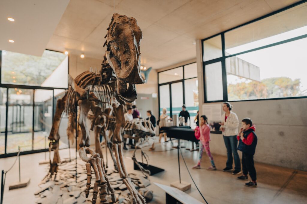 El Museo de Ciencias Naturales: un paseo ideal para las familias en verano