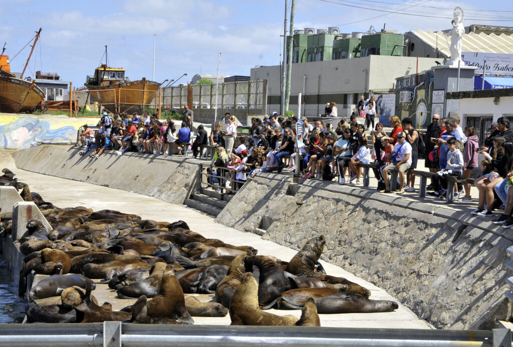 Visitantes y turistas se despiden del fin de semana largo de Carnaval en Mar del Plata