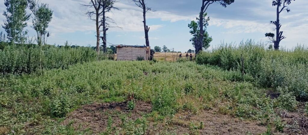 Peligroso delincuente atacó a un policía con un cuchillo porque quiso detenerlo por violencia de género