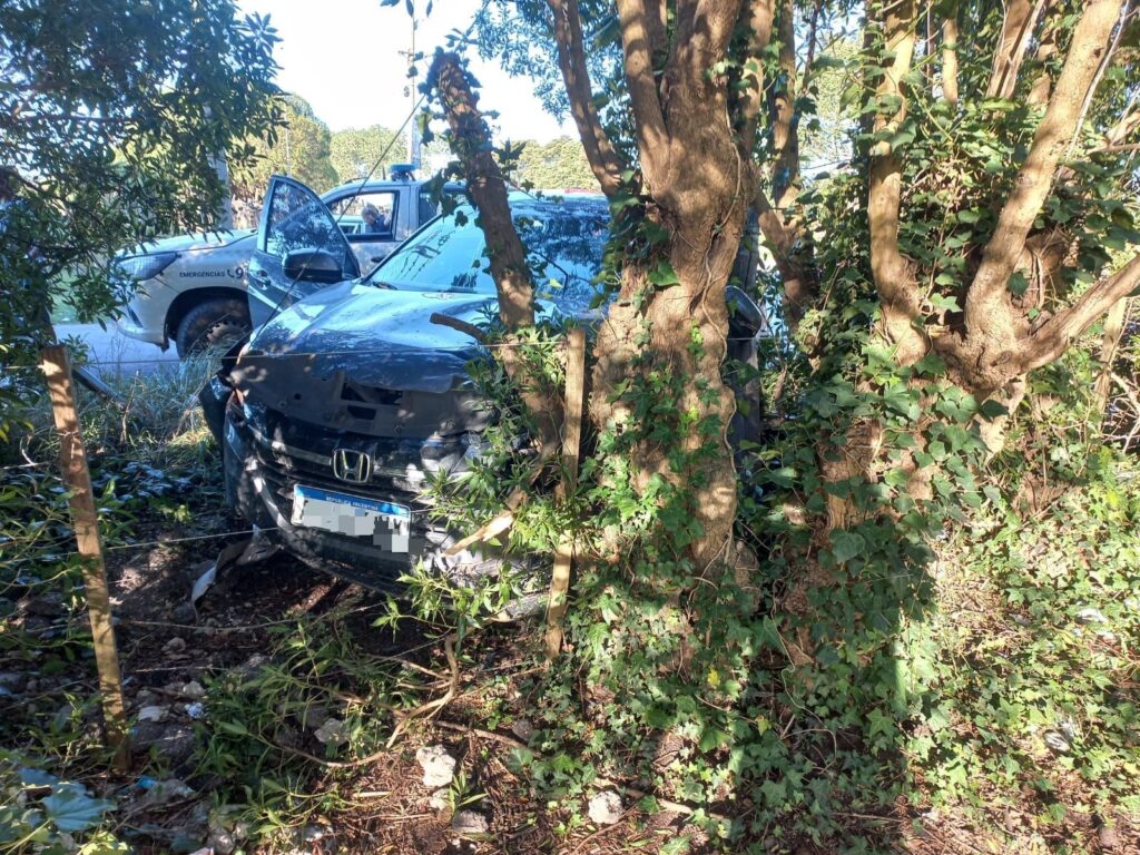 Robó una camioneta, intentó escapar de la policía y la terminó destruyendo contra un árbol