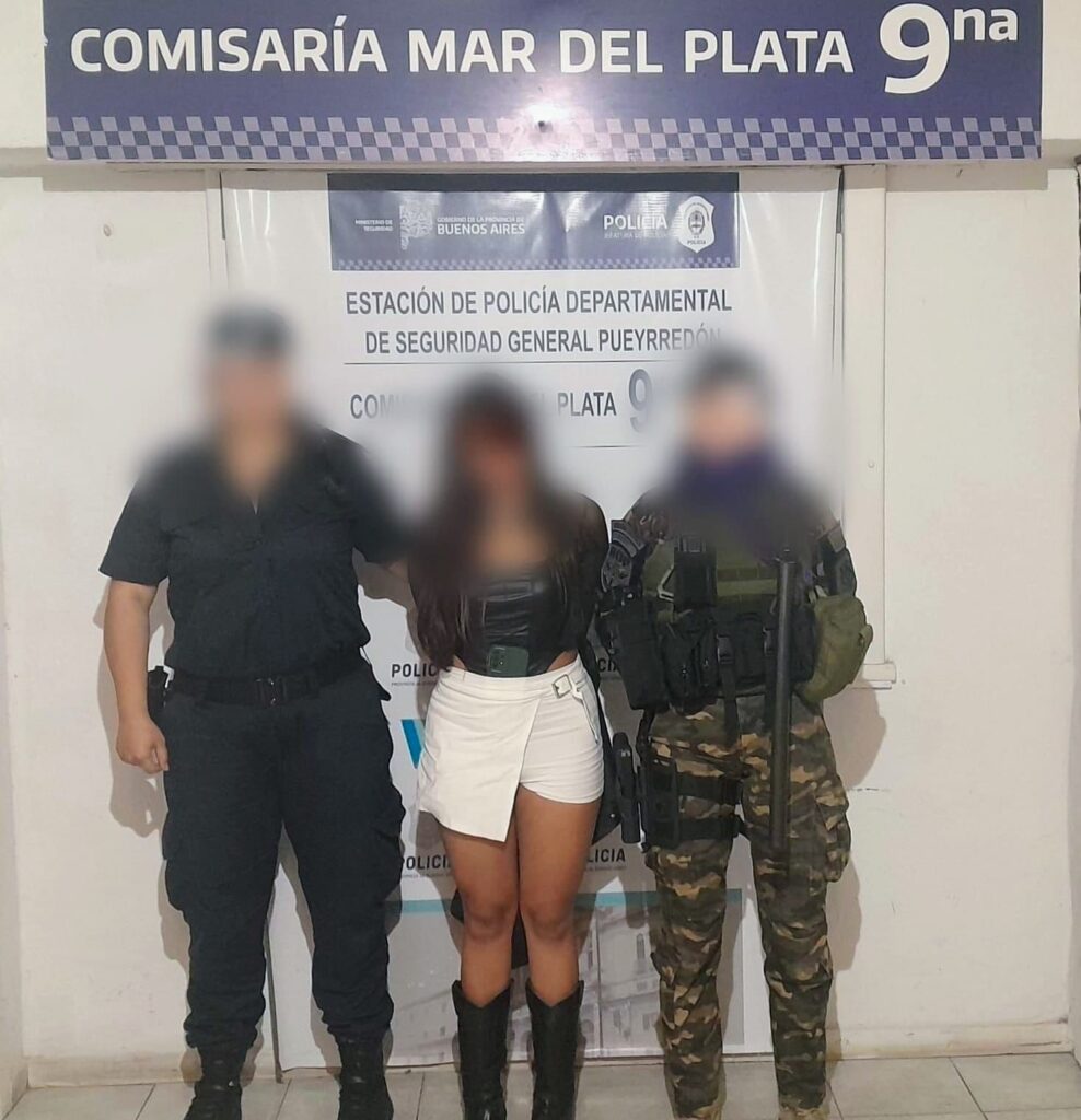 Turista tucumana resultó aprehendida tras robar un celular
