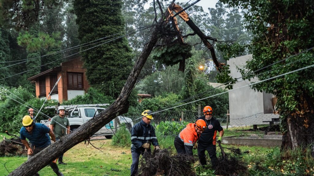 El efecto de la lluvia dejó árboles caídos y algunas zonas de la ciudad inundadas