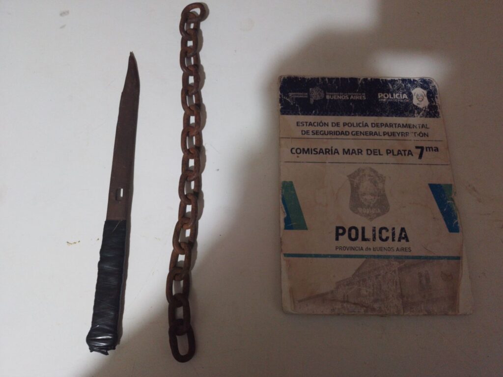 Intentó robar el auto de una mujer policía y terminó aprehendido