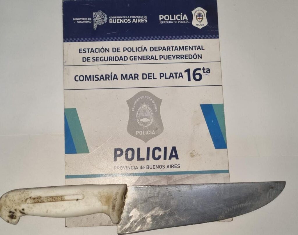 Ingresó a la casa de su ex, la amenazó con un cuchillo y apuñaló a su gata: aprehendido