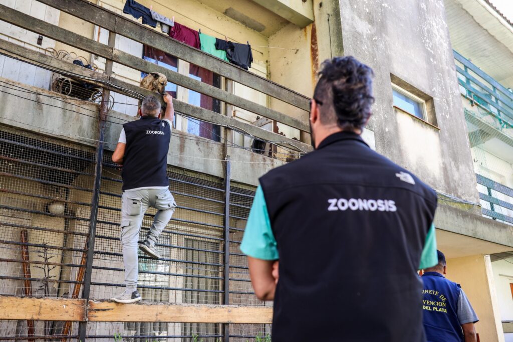 El Municipio rescató dos mascotas abandonadas en el barrio SOIP