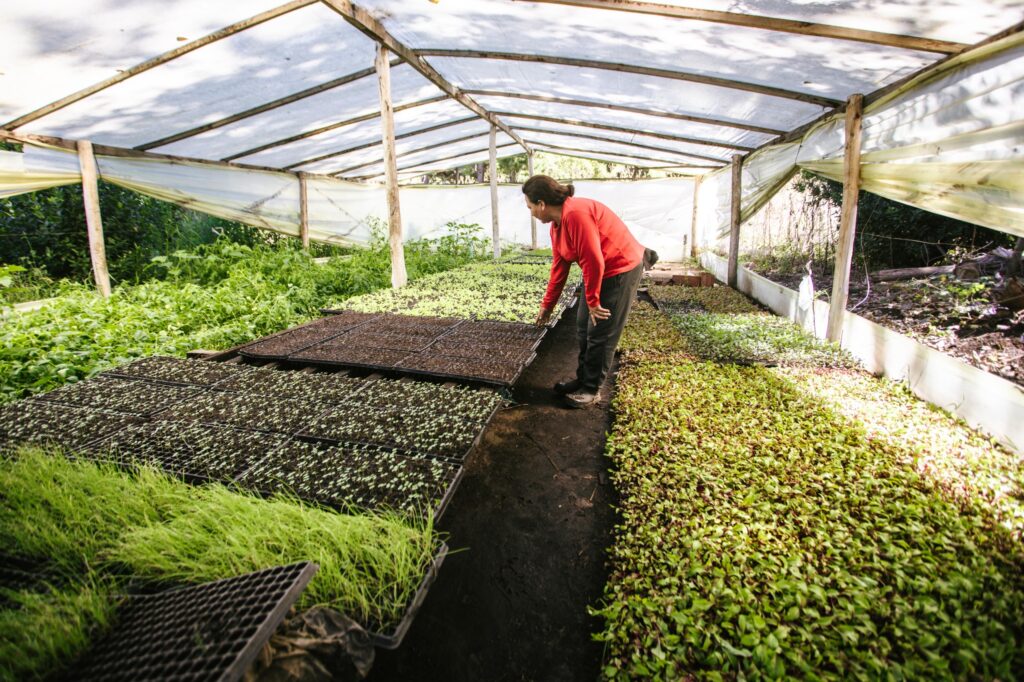 El Municipio acompaña la creación de cooperativa de productoras frutihortícolas de Batán