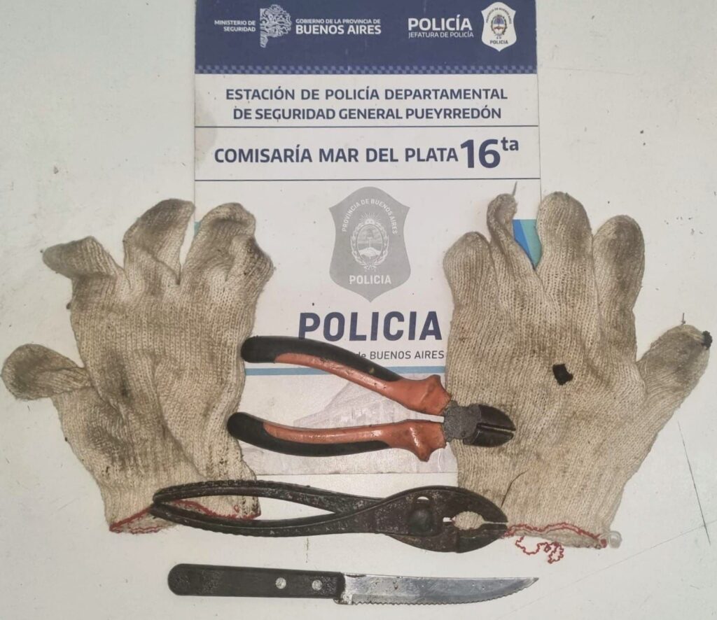 Un delincuente con antecedentes terminó aprehendido luego de cortar 70 metros de cables de telefonía