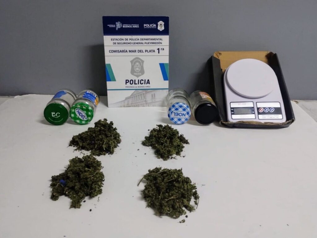 Tenía antecedentes, circulaba por la calle con cannabis para comercializar y terminó aprehendido