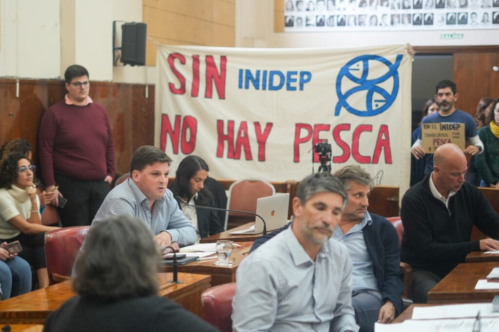 “Los despidos de Milei buscan desmantelar áreas estratégicas que perjudican a Mar del Plata”