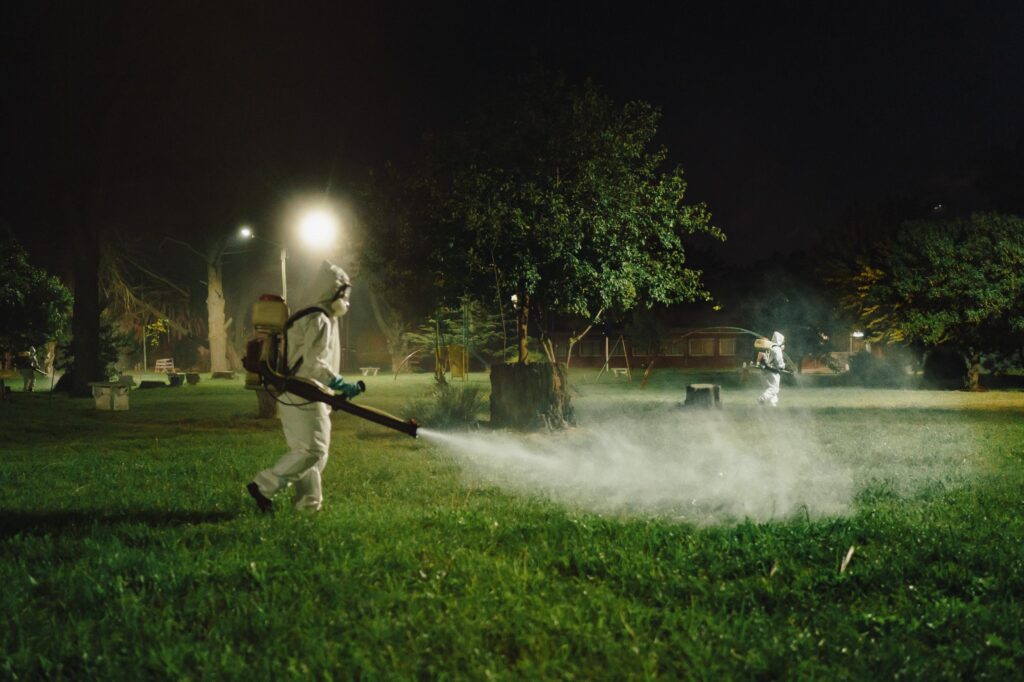 Se detectó el primer caso autóctono de dengue en General Pueyrredon