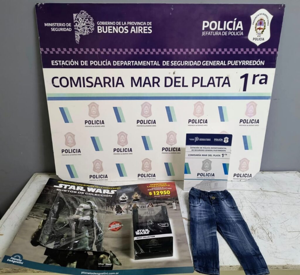 Mechera con frondosos antecedentes volvió a robar y terminó en Batán por un pantalón y un juguete