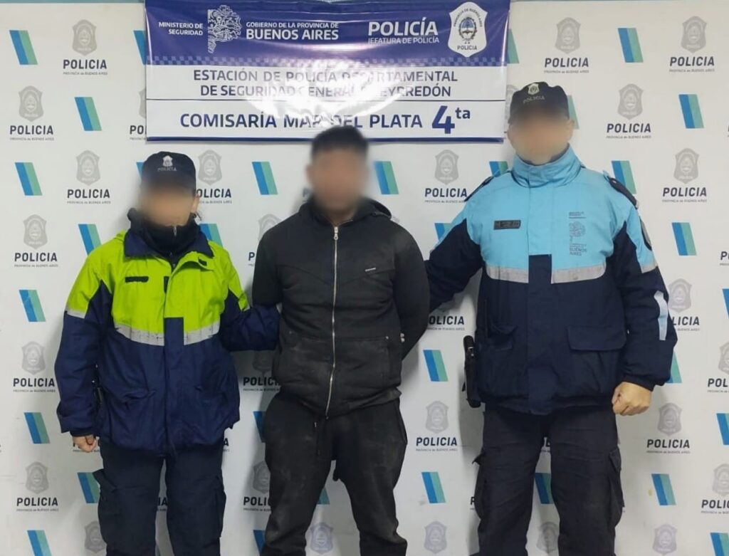 Escaló un paredón, robó un teléfono y le pegó una trompada a una efectivo de policía