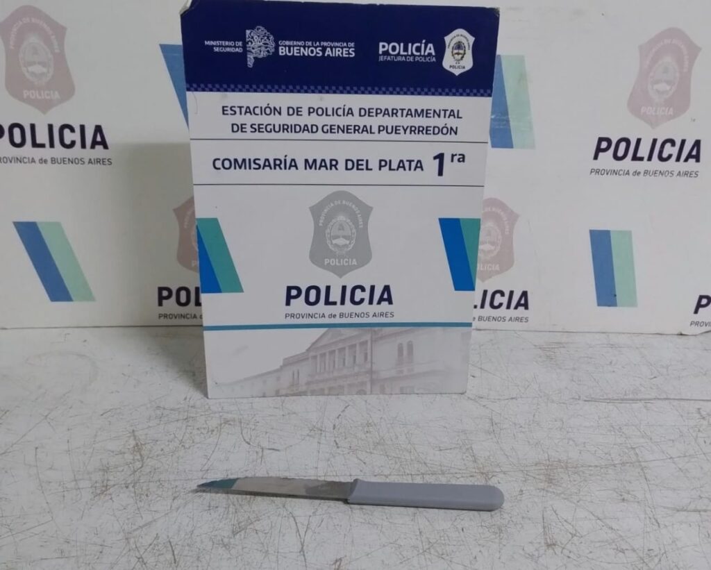 Una mujer fue aprehendida por atacar a otra con un cuchillo para robarle el celular