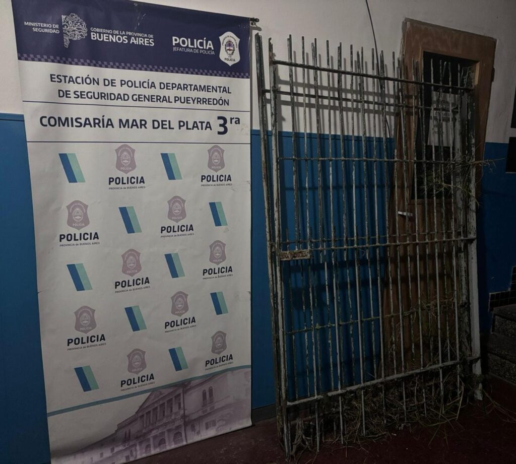 Tres aprehendidos por robar una reja y atacar a un hombre con un destornillador