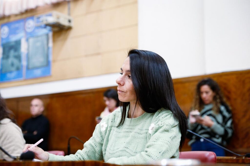 Vuelven a cruzar al oficialismo por la tasa vial: «Lo advertimos pero la mayoría automática no quiso escuchar»