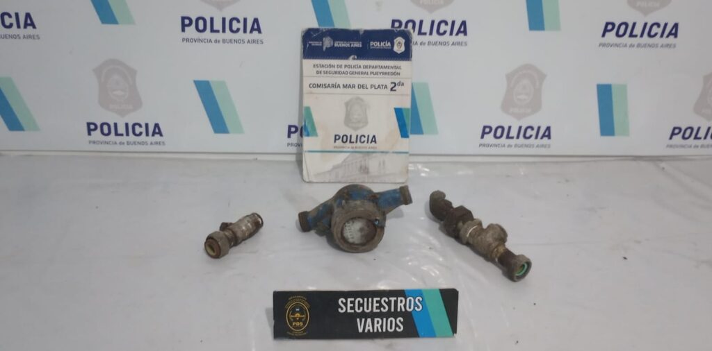 Robó un medidor, lo persiguió un vecino y logró reducirlo hasta que llegó la policía