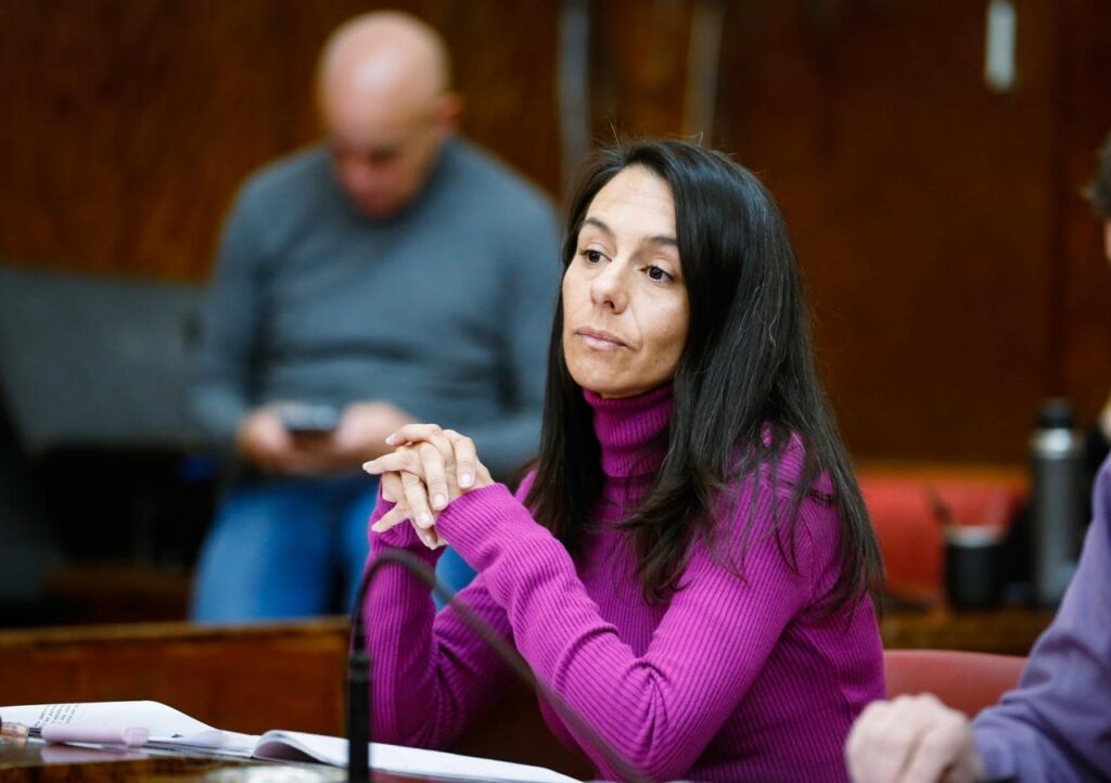 Ayala: “Impulsamos declarar la emergencia social tarifaria”