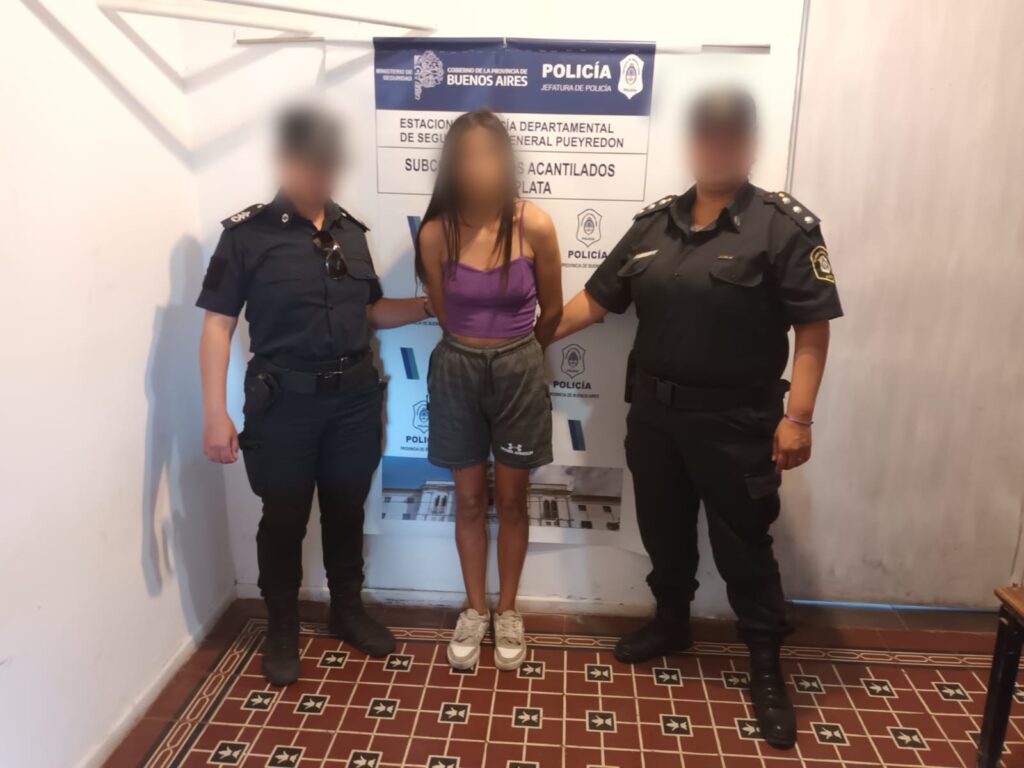 Vendían herramientas robadas y se trasladaban con una camioneta con pedido de secuestro: aprehendidas