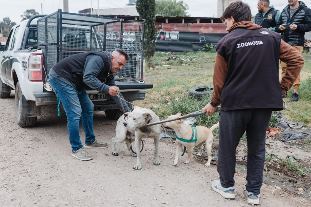 Rescatan un nuevo animal víctima de maltrato en Parque Independencia