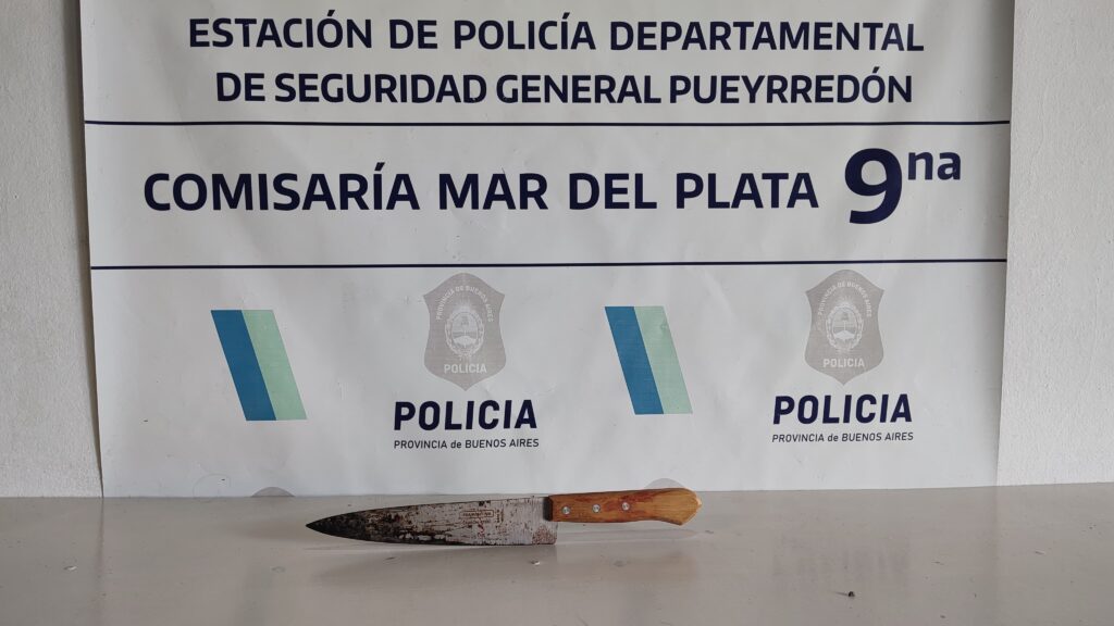 Hirió con un cuchillo a su mujer y a dos hombres que quisieron ayudarla: terminó en Batán