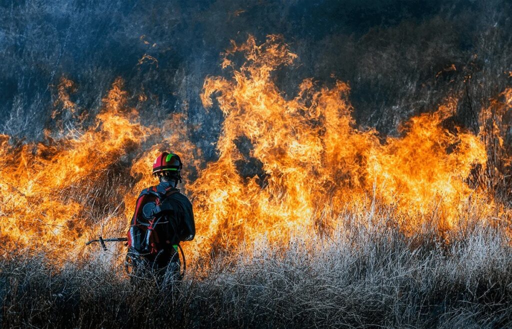 Alertan por elevado índice de incendios forestales