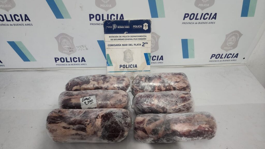 Robaron lomos congelados de «Cárnicos del sur» y terminaron aprehendidos: tenían antecedentes