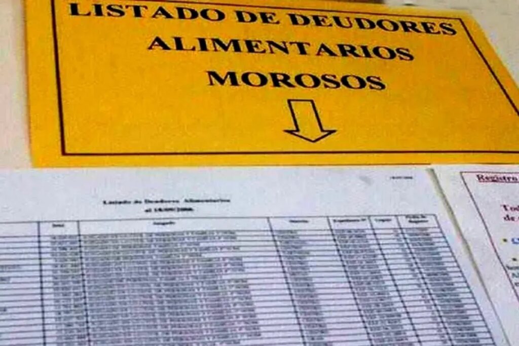Presentaron proyecto para que acortar los tiempos para las inscripciones en el Registro de Deudores Alimentarios