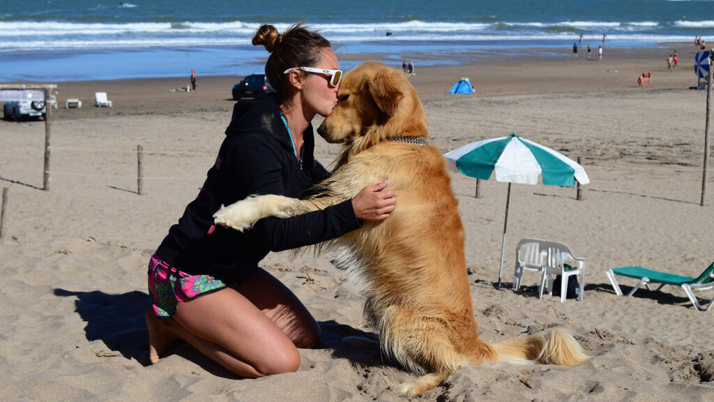 Video: proponen derogar ordenanza y que los perros puedan ingresar a los apart hotel