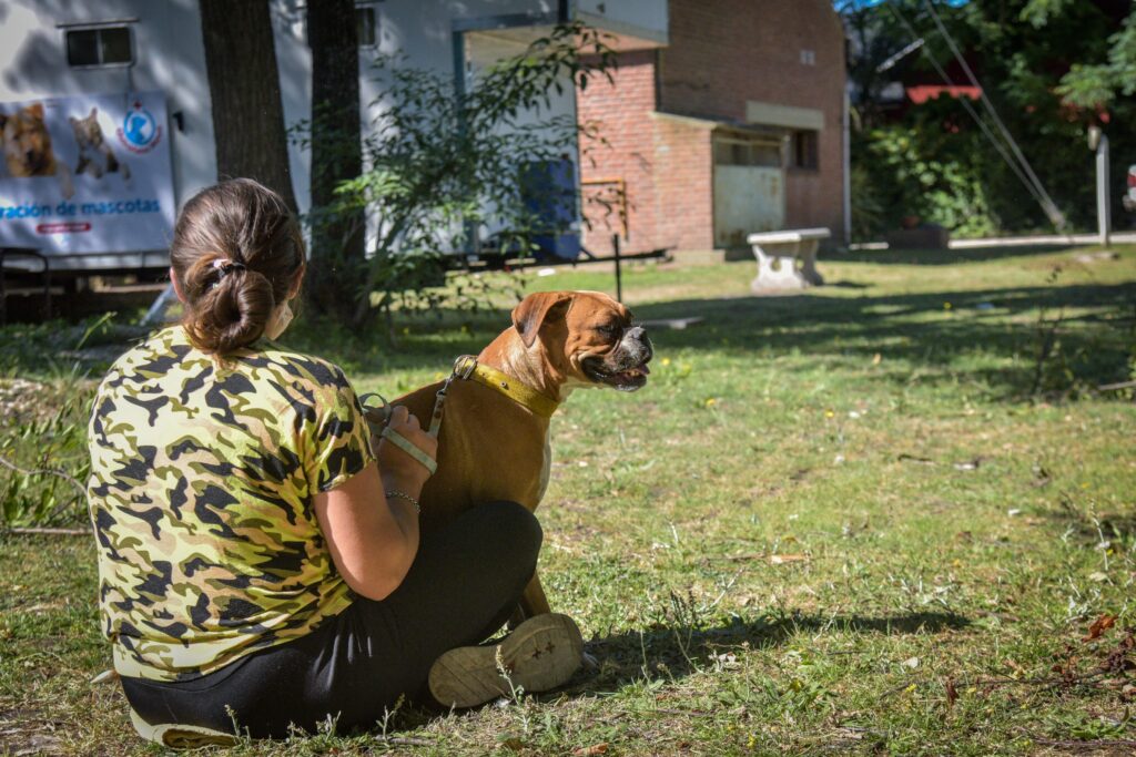 Dónde estarán ubicados los quirófanos móviles para animales