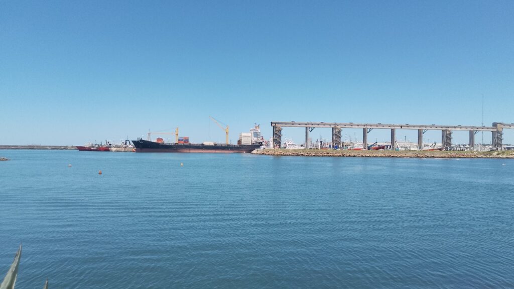 El auge exportador de Mar del Plata: 17 veces más exportaciones que importaciones