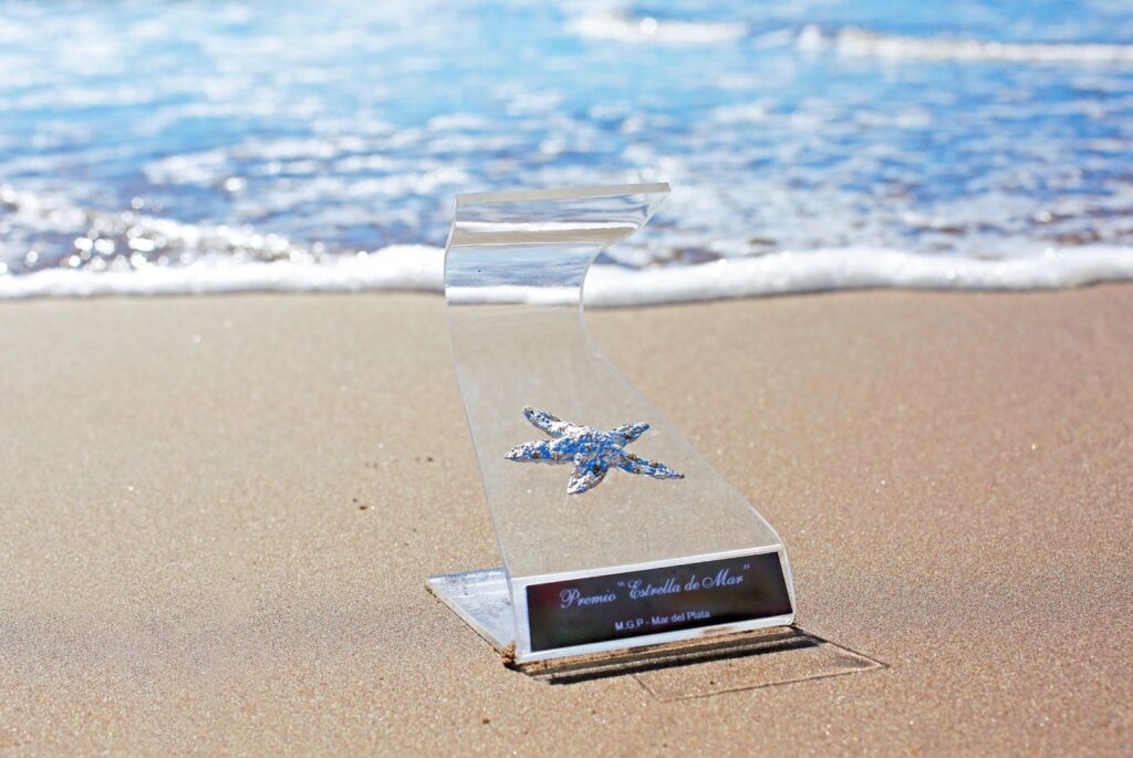 Premios Estrella de Mar 2025: se conoció el listado completo de los nominados