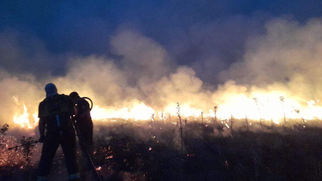 Video: máxima tensión tras un incendio forestal en las inmediaciones de la fábrica de ladrillos Palmar