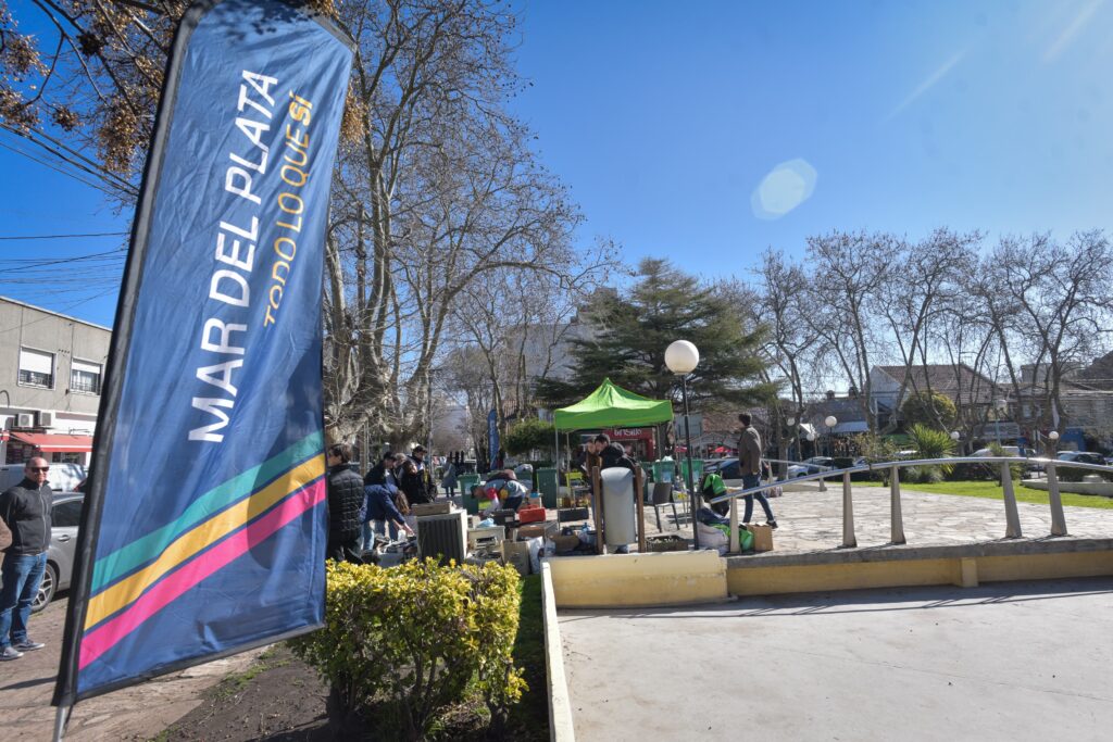 Desde febrero el Punto Verde duplica su frecuencia: suma nueva jornada semanal y extiende el horario