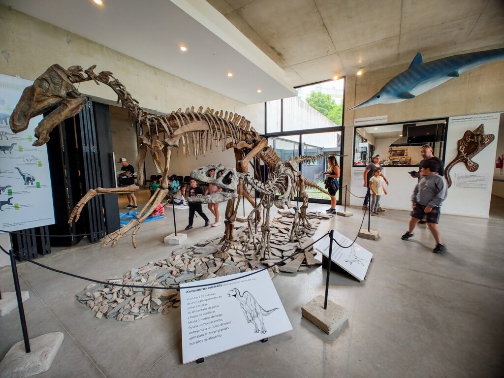 El Museo Scaglia presenta una serie de actividades para este verano