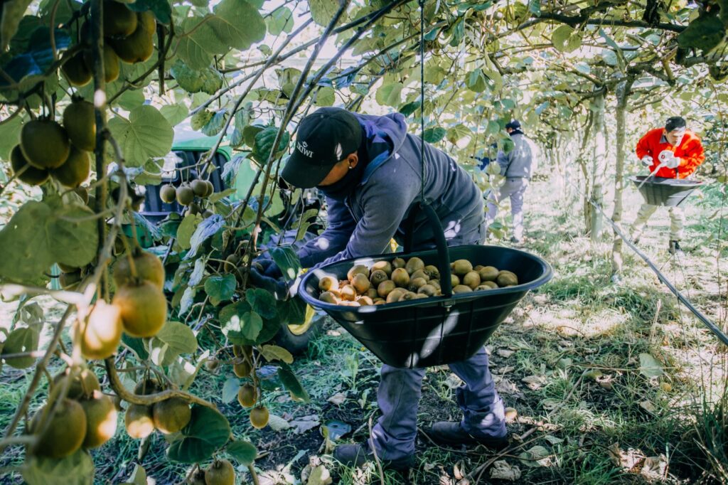 Desde Mar del Plata celebraron la última medida del Gobierno nacional sobre la desregulación de la industria de frutas