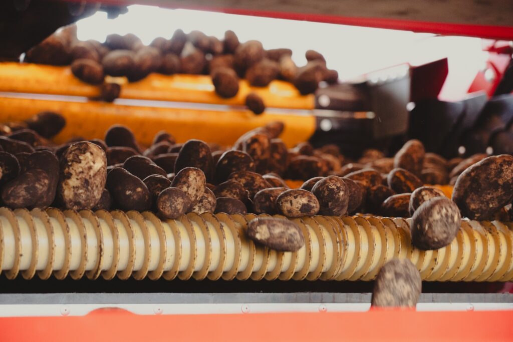 Lamb Weston capacitará y aportará equipamiento técnico para productores de papas de Mar del Plata