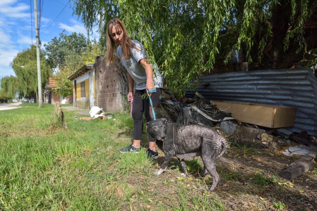 El Municipio rescató seis animales víctimas de abandono del barrio Villa Evita