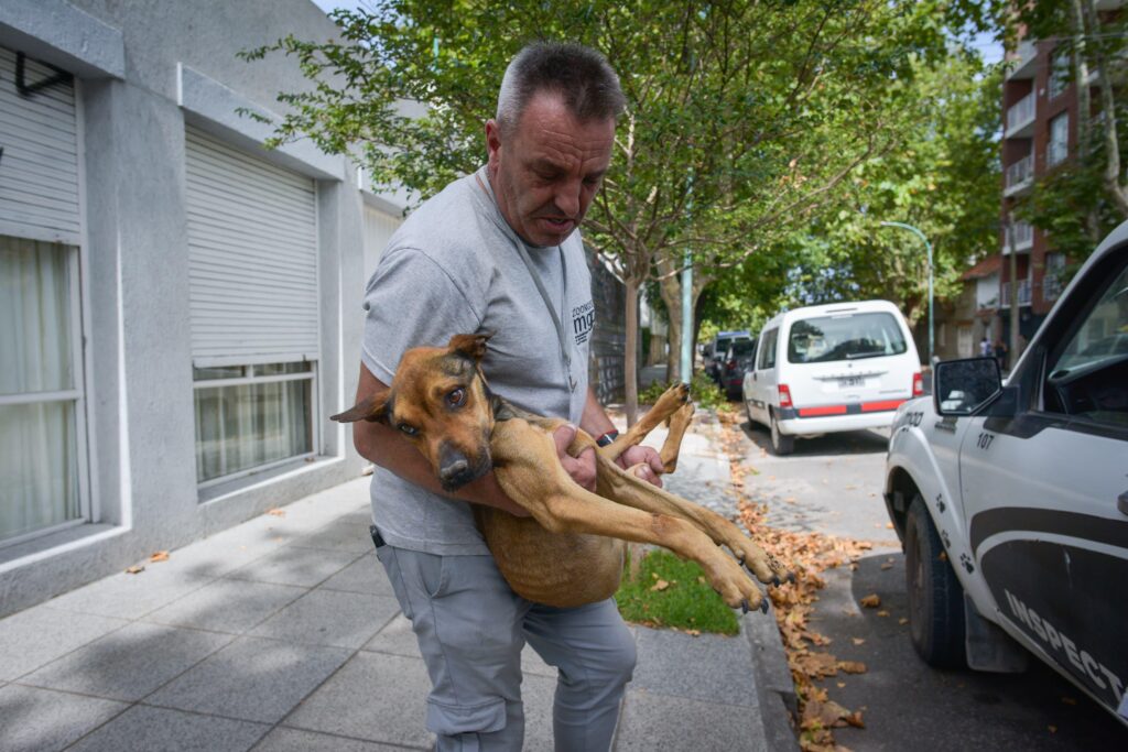 Realizaron otro operativo de rescate de un animal víctima de abandono