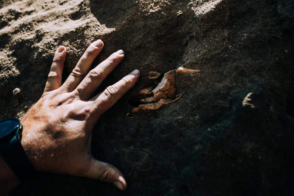 Secretos de la prehistoria en la playa: el Museo Scaglia invita a una salida educativa