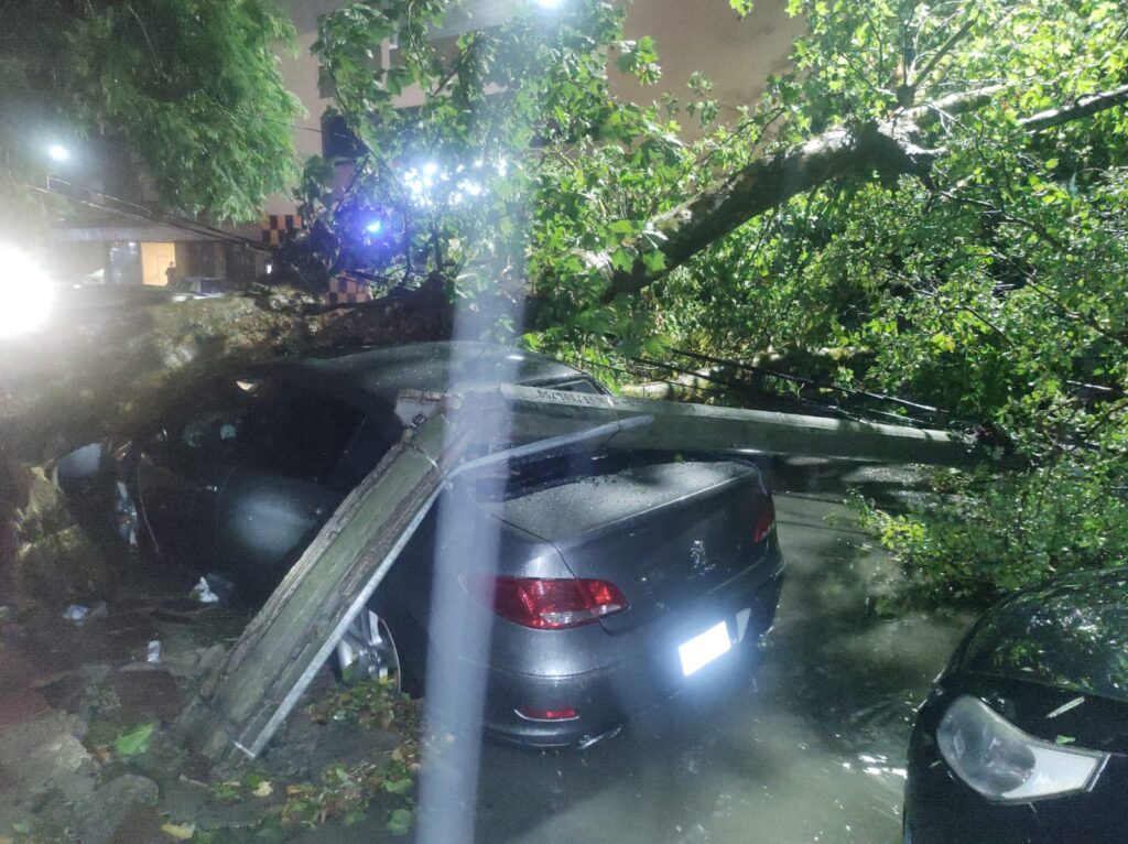 Todas las imágenes del temporal que golpeó a Mar del Plata con vientos de hasta 80 kilómetros por hora