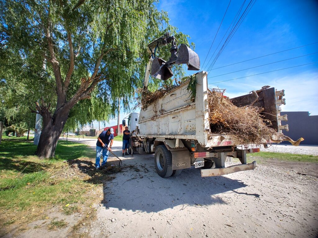 Durante enero y febrero el Municipio retiró más de 8.000 toneladas de residuos de la vía pública